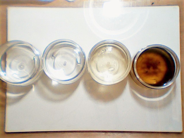 overhead view of four water sample