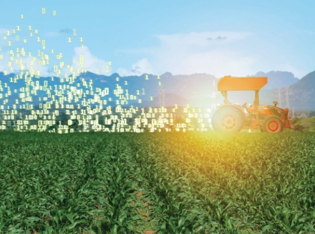 Remote Wireless Sensing and Precision Agriculture